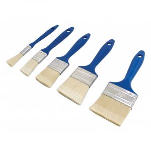 Brush set of various sizes 5 pcs