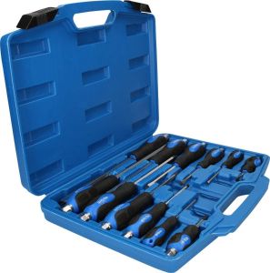 Professional screwdriver set 12 pcs